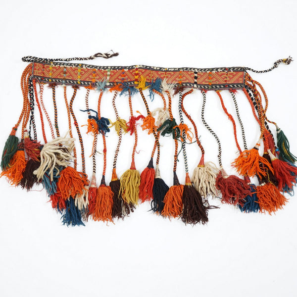 Horse chest band